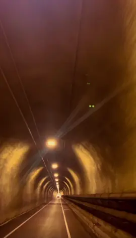 #davidbowie#perksofbeingawallflower#digitalcamera#lights#tunnel 