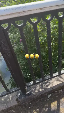 #fyp 