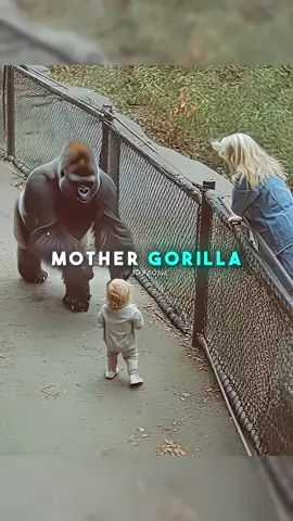 Animals are better than some humans  🥺❤️