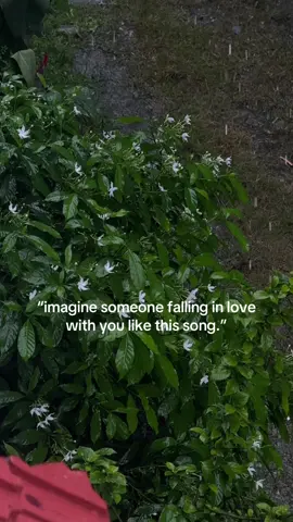 #foryou #oldisgoldsong 