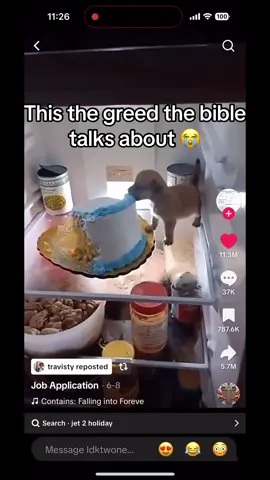This dog only knows hunger |VC:@Job Application| #funny #foryou 