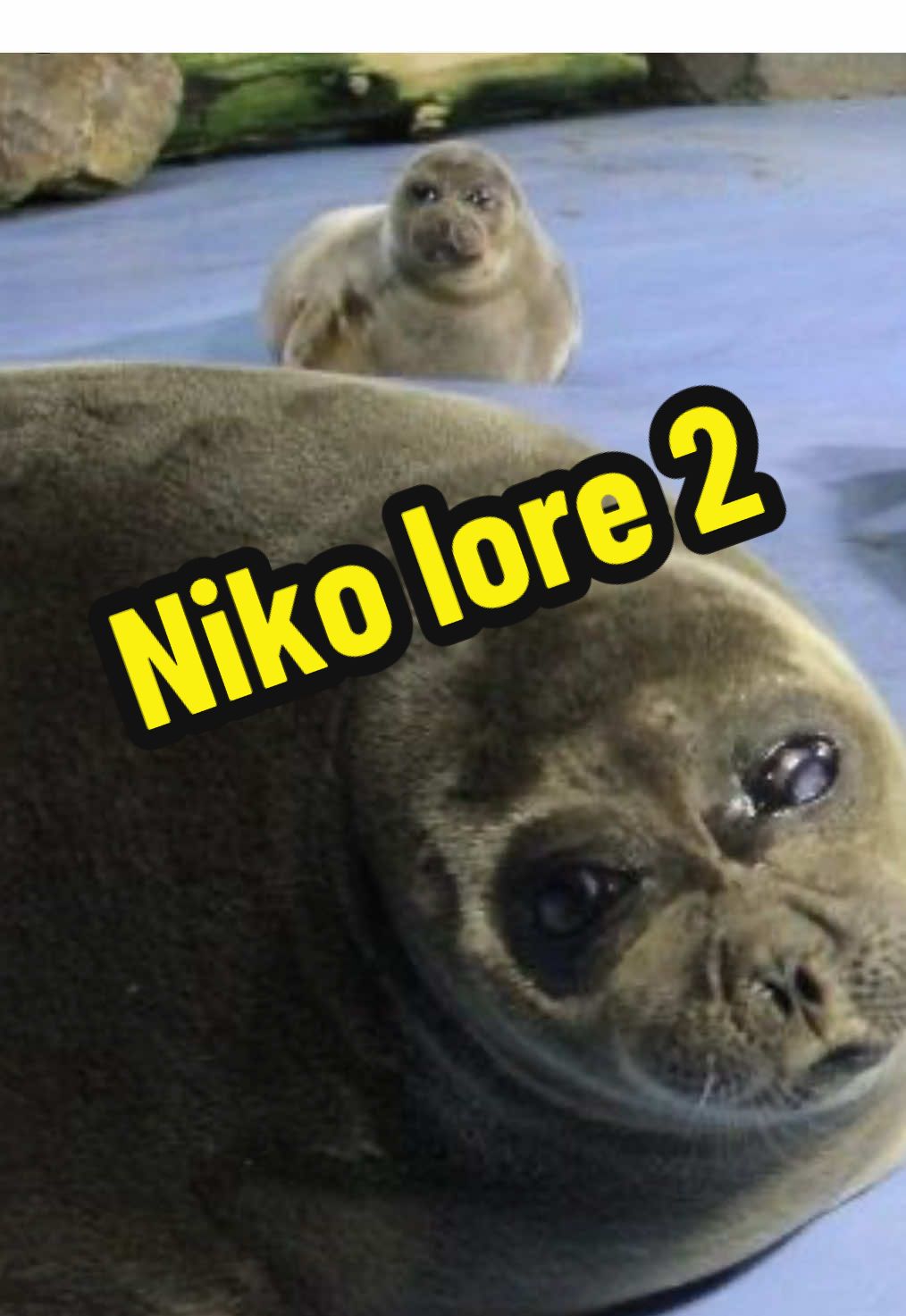 Niko lore part 2 Niko and Unariko’s complicated relationship ❤️‍🩹🦭 #sealtok #seal #niko #nikotheseal #nikoseal #baikalseal #nicholastobias #nikolore #tobaaquarium 