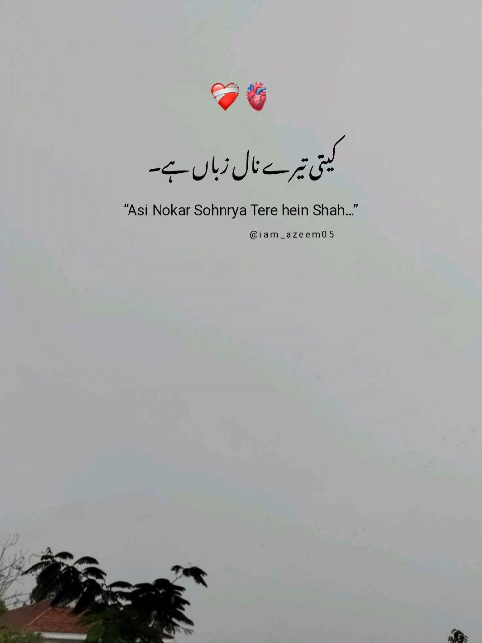 “اسی آخری سانس تک تیرے نال آں” shah G ♥️ #urdupoetry #shayari #sadshayari #hindipoetry #lovequotes  #iam_azeem05 