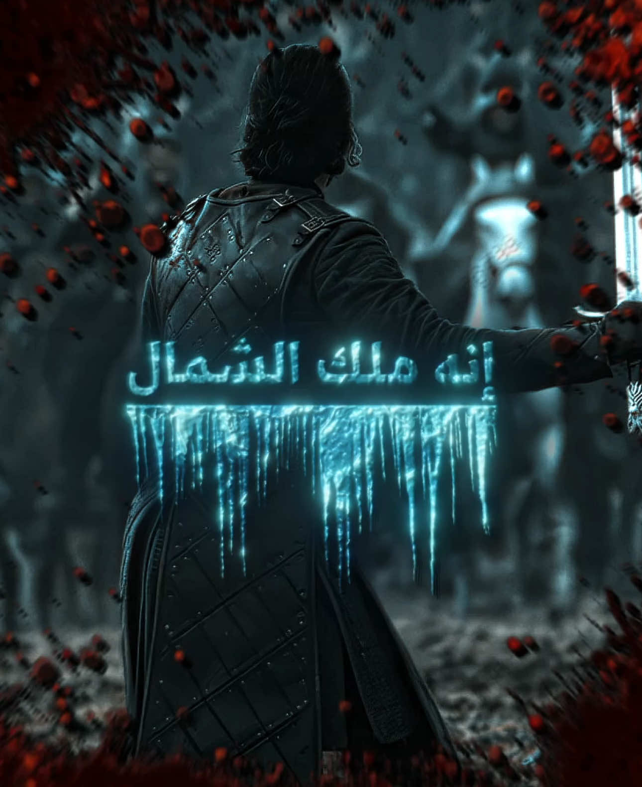 The king in the north | #jonsnow #jonsnowedit #jonsnowedits #gameofthrones #gameofthronesedit #got 