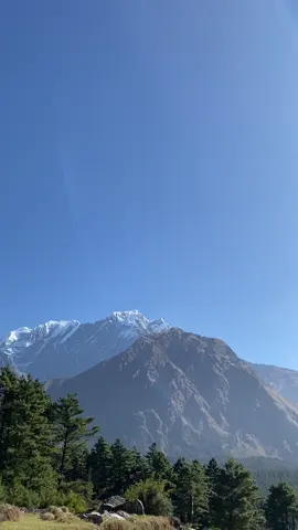 #creatorsearchinsights #viral  #viraltiktok  #go_viral #nepalbeauty🇳🇵