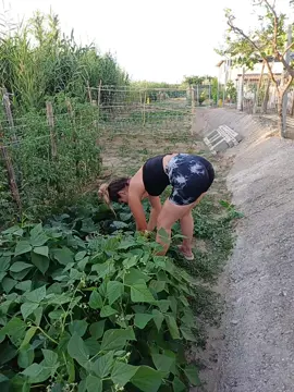 #neipertee #foryoupage❤️❤️tiktok #videoviral 