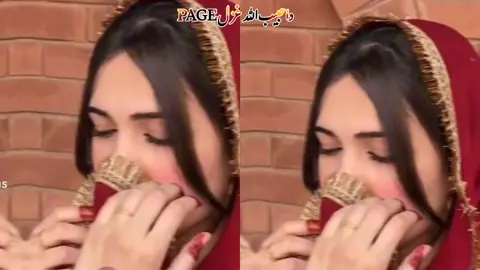 پشتو پورہ سونگ 💕#foryoupage #پشتوسونگ🖤🔥 #fyp 