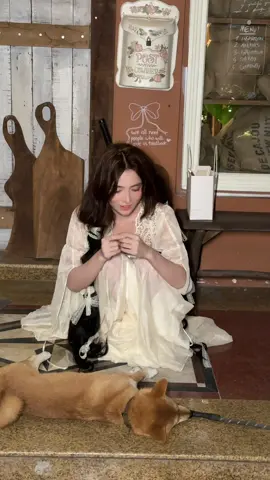 Ko ai lay động đc em 