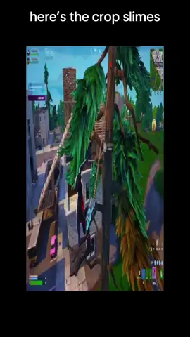 crop it #fortnite #fyp #fortnitestrech #crop 