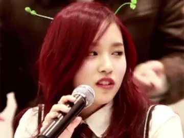 .•‧₊˚𓏵 #MINA ❀ 𓊇 :: olajejejej, no encontre tantos gifs bonitos de minari pero quedo lindo igual #viral #minari #kpop #fyp #twicebestgg #xnistasideas #sawademina #minaminovia 
