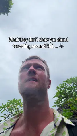 What they don’t show you about travelling around Bali… once you notice them… you can’t not see them 🕷️  #bali #spider 
