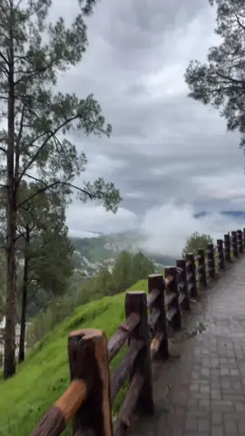 Pyara Abbottabad 🥲 #abbottabad #shimla_hills 