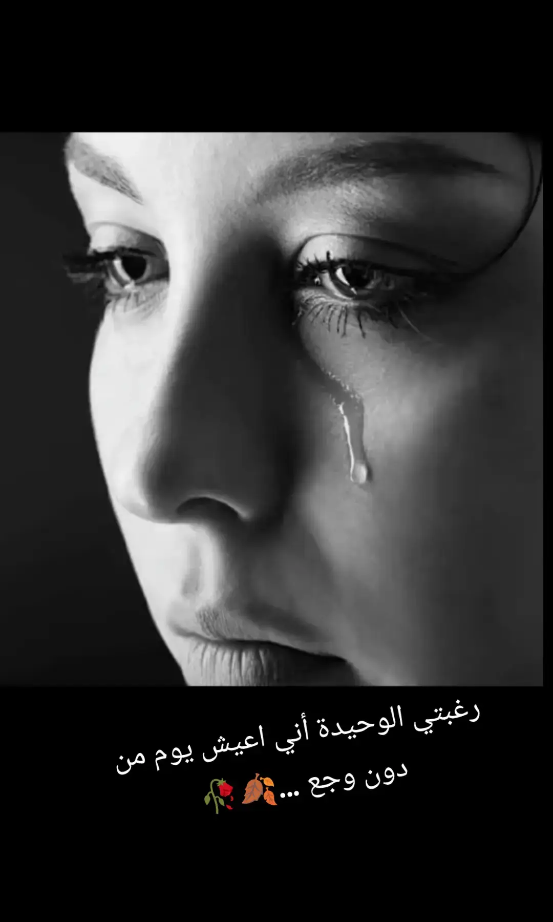 #عبارات_حزينه💔 #🍂🖤 #أغاني #كردي #حزينة💔😔🥀 