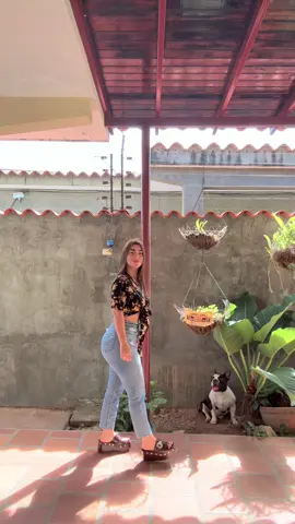 Póngase lentes y bien oscuros🌸