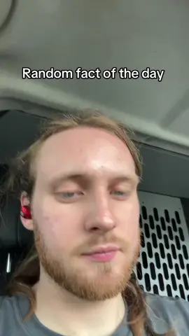 #creatorsearchinsights #randomfacts #foryoupage #trending #foryou 