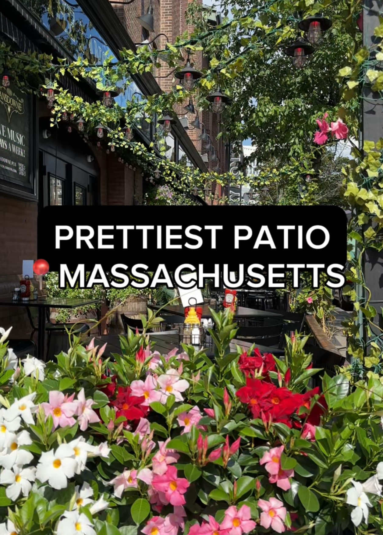 Boston prettiest patio with printable beers at The Lansdowne in Fenway Massachusetts #boston #bostontiktok #bostonma #massachusetts 