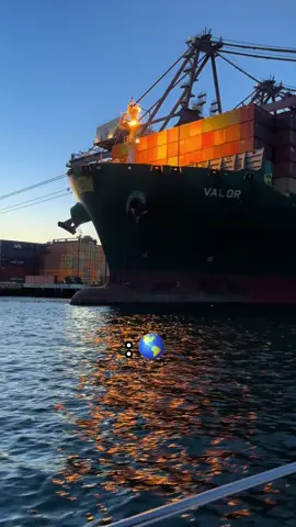No lo entenderías … #fypシ  #comerciointernacional  #aduanas  #negociosinternacionales #logistics  