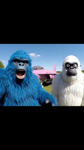 On a loué un avion de chasse ! #Vlog #yeti #veo3 #defi #avion #location 