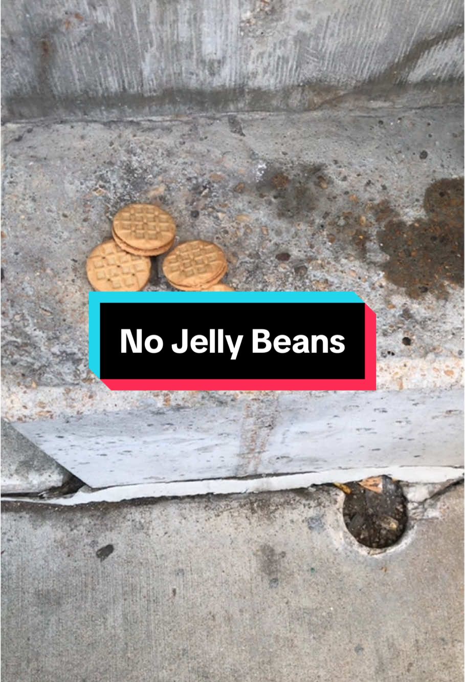 The jelly beans are gone, but now we have some cookies. Meramec Ave., parking garage, Downtown Clayton, MO.