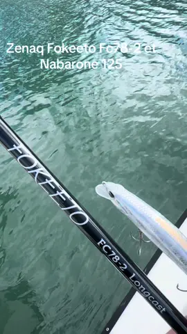 Zenaq Fokeeto Fc 78-2 et Nabarone 125 coloris 004 #seabassfishing #passion #catchandrealease #fishing #viral #wayoffishing#zenaq  #aura #aurafarming #fyp #kidboat #boatkid #aurafarm #indonesianidol 