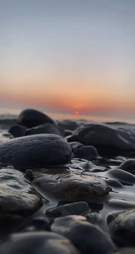 #تصويري📷#حقل#ضباء#الوجه👌🏻😔