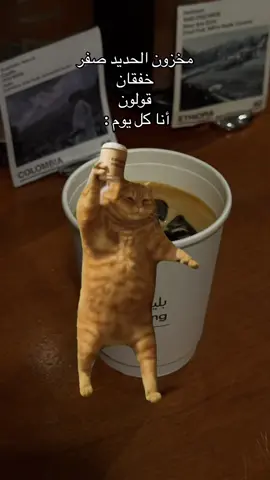 #الهاشتاقات_مالها_داعي 