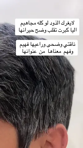 #انشهد #foryou #foryoupage #fyp #ترند #friendship #اكسبلورexplore❥🕊 #axe 