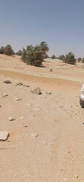 #سبها_ليبيا_الجنوب_الليبي #ليبيا_طرابلس_مصر_تونس_المغرب_الخليج #تايوتا_شعار_لا_يعرف_قانون_❤️🔥✈️ #اعادة_النشر🔃 #🔥🔥🔥🔥🔥🔥🔥🔥🔥🔥 