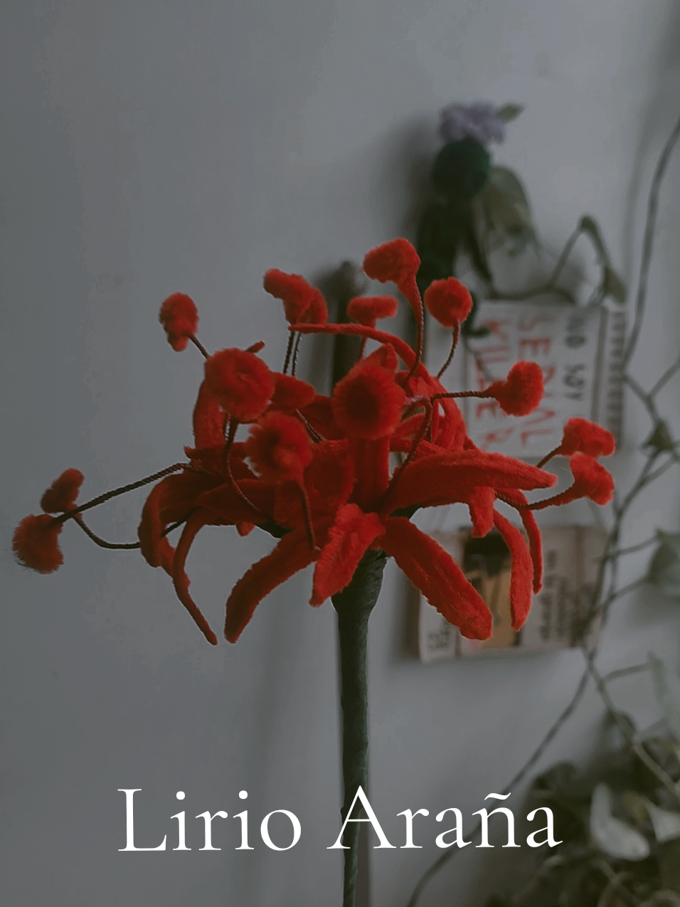 Spider Lily bouquet🥀 Flor del Infierno o Lirio Araña: Se suele utilizar en anime para simbolizar la mu34te y renacimiento. Ref 5$ #fyp #paratiiiiiiiiiiiiiiiiiiiiiiiiiiiiiii #spiderlily #lirio #tokyoughoul #anime #chenille #DIY #barquisimeto #arreglosflorales #empredimientovenezolano #fypシ゚ #lara 