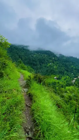 SHANGLA📍. #fypシ゚viral #foryourpage #100kviews✔️ #peace#greenary #naturalbeauty @𝓤𝓫𝓪𝓲𝓭💫 @حسنین🍂 @ⁱᵃᵐ|𝚜ყҽɗ𒆜 @Syed Mazhar Ali @ⒶⒻⓉⒶⒷ @Sɪᴀʙ ᴍ ᴋʜᴀɴ 