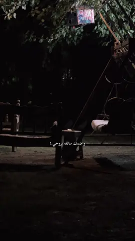 #اقتباسات #الموصل #fyp #شعر #الشعر_الشعبي #حديقتي #الموصل 