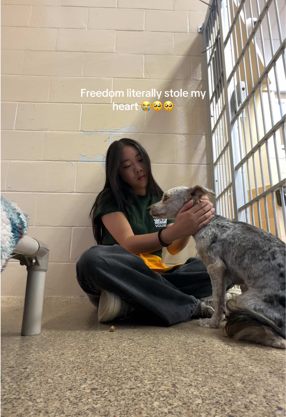 Your sign to go volunteer at your local shelter!  #animalshelter #dogrescue #volunteer #woodshumanesociety #shelterdog 