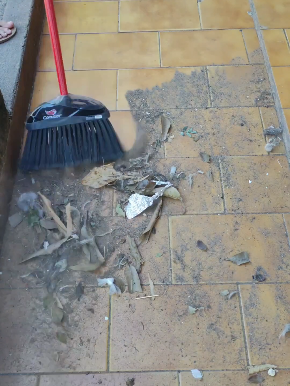 ASMR varrendo🍂🏡🌺 #limpezasatisfatória #limpezadacasa #donadecasa #satisfatório 