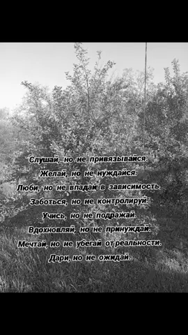 #рекомендации❤️❤️❤️ 