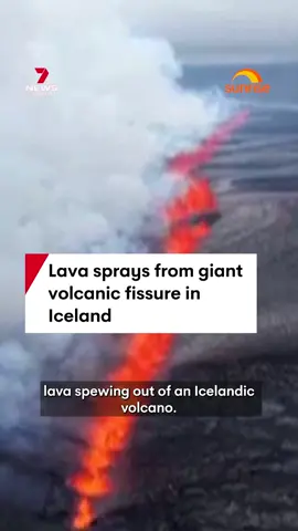 A 2.4km long fissure has opened up in Iceland, spraying lava metres into the air. #volcano #volcanoeruption #lava #lavaspray #fissure #volcanicfissure #iceland #grindavik #bluelagoon #7NEWS