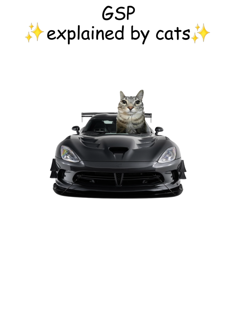 GSP explained by cats  #cats #mechanic #cars #carguys 