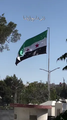 تبقى شامخ ياعلمنا💚 #سوريا #كلنا_مع_الدولة #سوريا🇸🇾 #برداً_وسلاماً #الامن_العام #دمشق #دمشق_الياسمين #اكسبلور #فولو #💚 