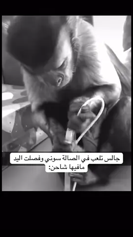 #explore #اكسبلور #fyp 