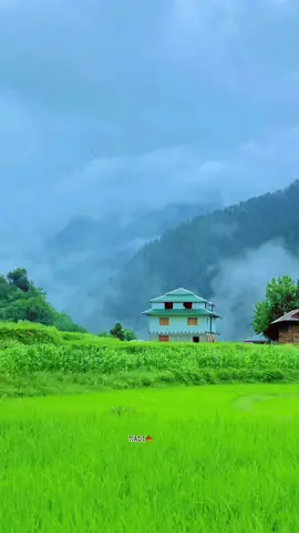 پھولوں کی موسم میں ملنے آتے ہیں  Foryou#tranding#viralvideo#foryoupage  @Babarmalik @Sohail Mir @🇸🇦(🅤🅜🅔🅡)🇵🇰 @kashif @کشمیر پولیس 🚨🚩 @Click_With_nadi📸🍁🗻 @TikTok Philippines @@NADI 