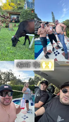 Recargadas las  🔋 100 % 