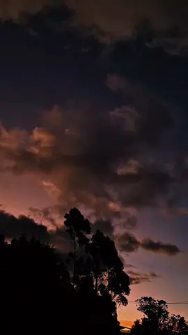 Tu sonrisa me encanta y soy tan feliz 🥰🌺♥️ #poemasdeamor #poemas #dedicatoria #paratii #miniñabonita💗 