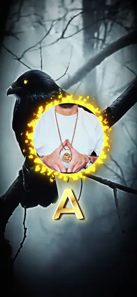 Gracias mi rey 👑🇲🇽@[A]🥷🐦‍⬛🐼 