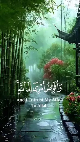 #creatorsearchinsights #القارئ_محمد_الفقيه #القران_الكريم_راحه_نفسية😍🕋 #راحة_نفسية #تلاوة_خاشعة 