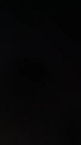 the biggest sharks 🦈 