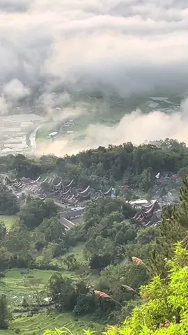 🥶🥶 #tongkonanlempelolai #torajapride🏝️💥 #fypシ゚viral 