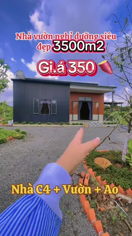 LH::o353.2.38.62.2 #datvuon #datvuon3500m2 #datnha4cap #datngop #datcatlo #datvuongiare #batdongsan2025 #dautudat #datnghiduong #datgiare #trending #viral #xuhuong #video #tintuc #trending #flypシ