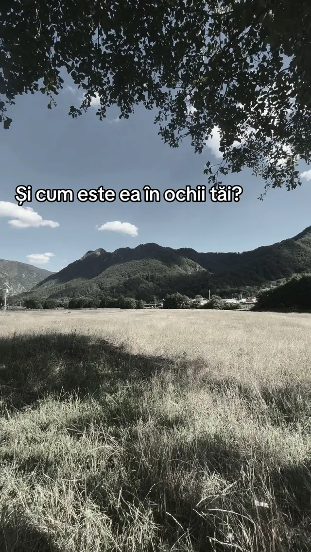 #tiktokviral #viral_video #o șansă mică#viral_video #fyppppppppppppppppppppppp #fypp #viralditiktok #🥺💔 