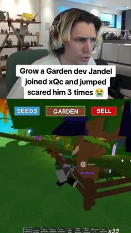 😭😭 W dev #xqc #growagarden #roblox #dev #scream #funny #gaming #fyp 
