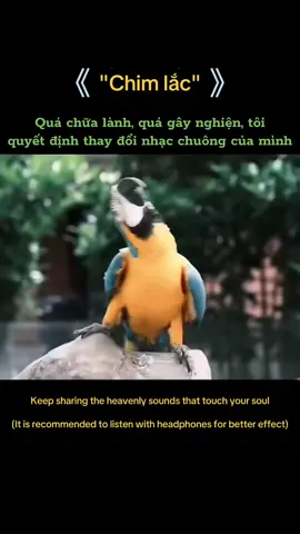 #duet cùng @Mộc An Nhiên Therapy #lieuphapamthanh 