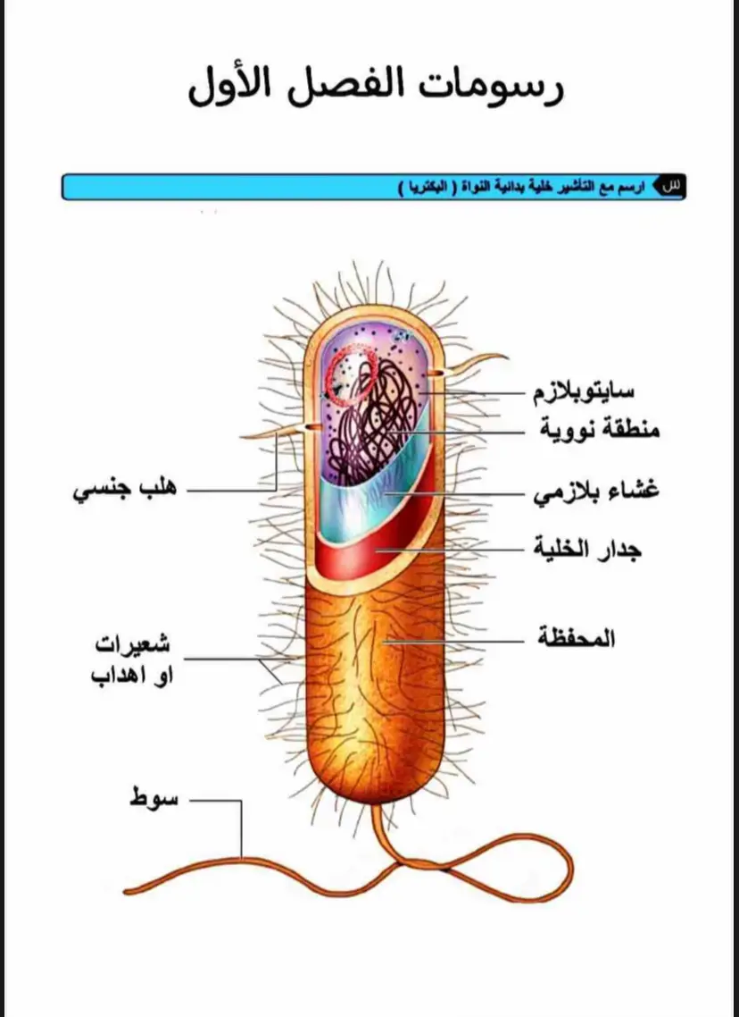 #السادس_علمي #سادسيون #السادس_الاعدادي #fyppppppppppppppppppppppp #اكسبلورexplore #سادس_2026 #اللهم_صلي_على_نبينا_محمد 